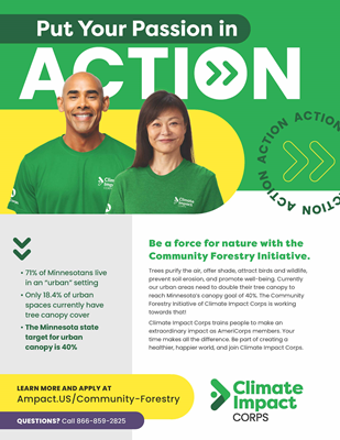 Flyer - Community Forestry Initiative